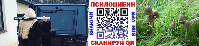 Псилоцибиновые грибы мицелий  Купить  Ивдель 